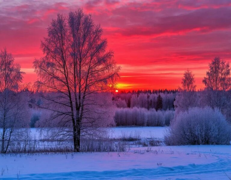    Изображение сгенерировано нейросетью Шедеврум Зоя Шпанько