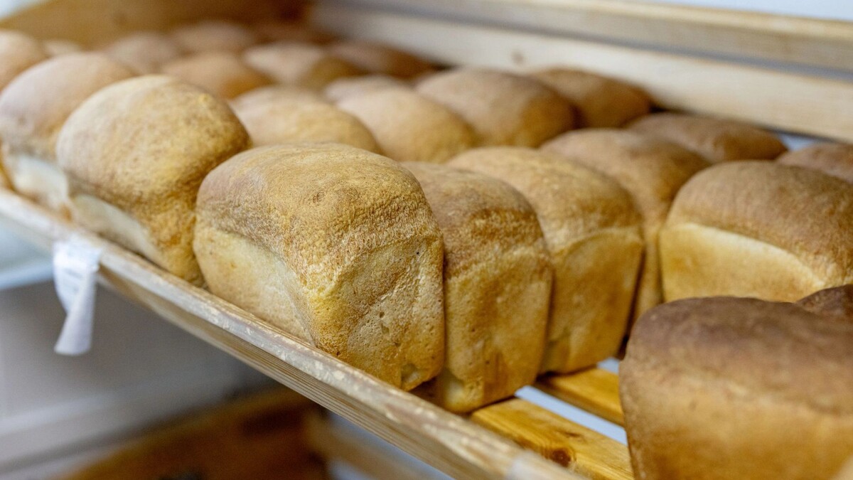    Фото: Сергей Зубков / «Ямал-Медиа»