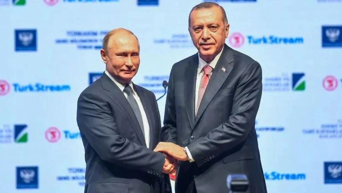    Фото: quetions123/Shutterstock/Fotodom