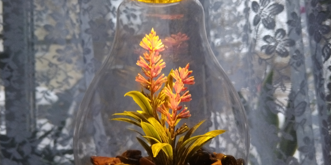 Встала сегодня очень рано