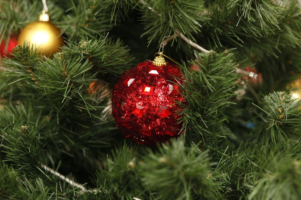    Фото из архива КП