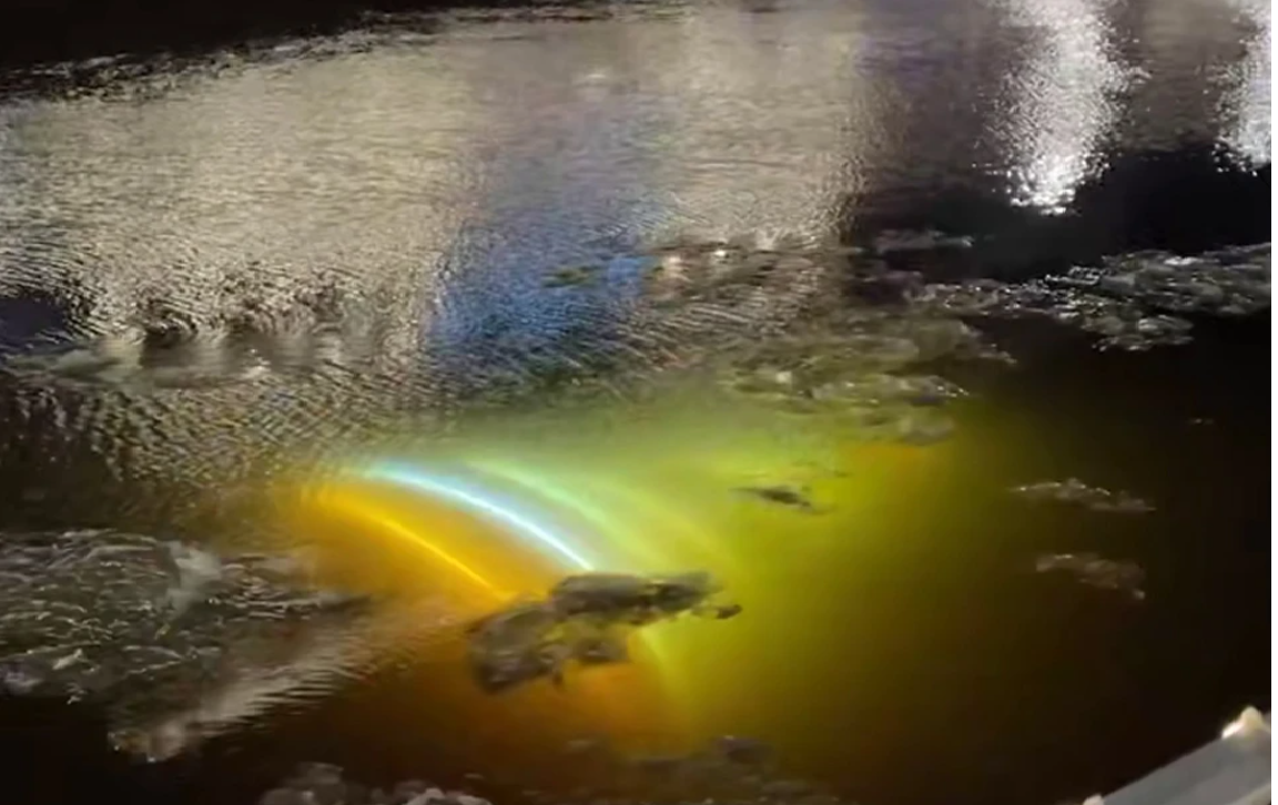 Фото: соцсети