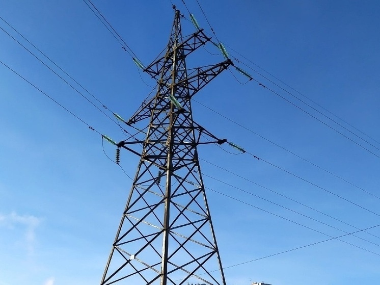     Фото: МК в Вологде.