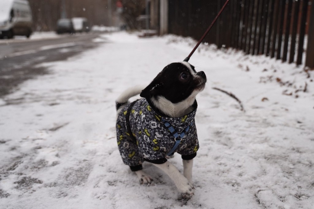    Фото © Анастасия Романова / Абзац