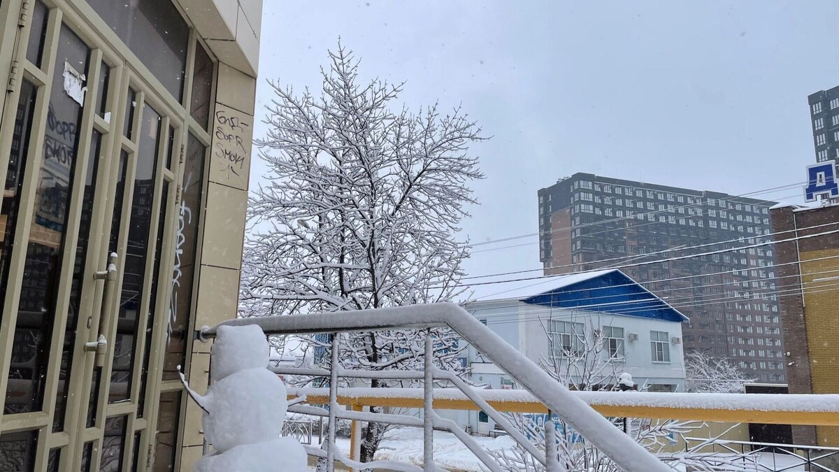    Синоптики рассказали, когда в Ставрополе прекратится снег   newstracker.ru