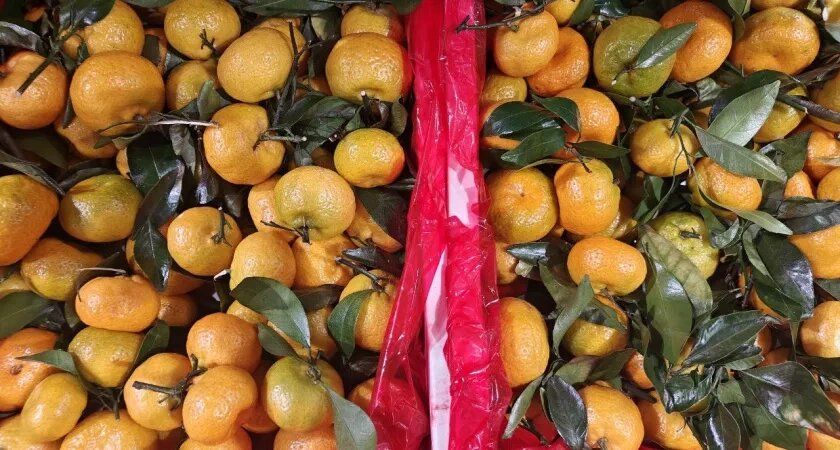    Первый городской канал Калининград