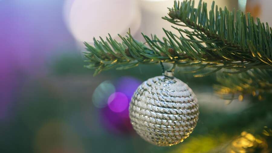    Фото: Global Look Press/Shatokhina Natalia