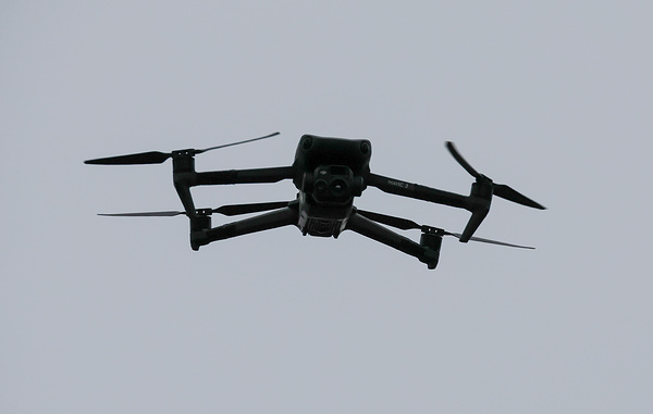 Александр Полегенько/ТАСС, архив