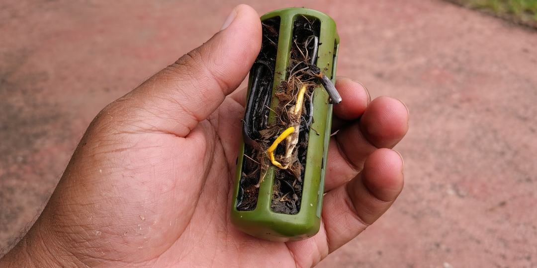 Тайна из желудка коровы, о которой редко рассказывают