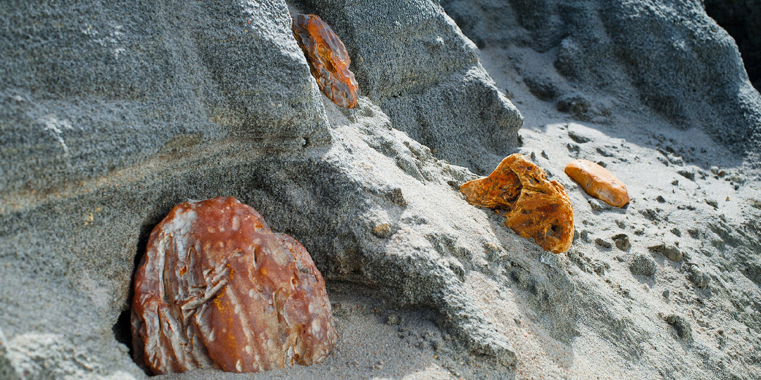 Золотые слёзы деревьев. Кто зарабатывает на российском янтаре?