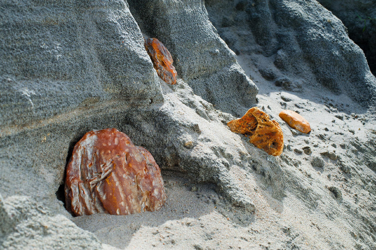 Самородки янтаря в карьере