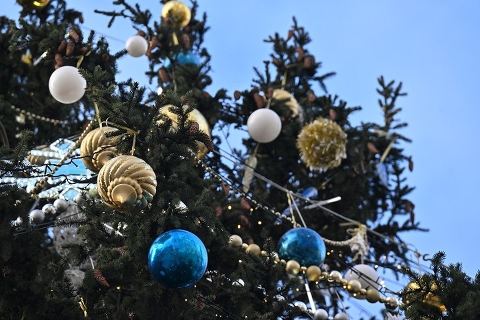    Встретить Новый год можно на Советской площади Ярославля. Владимир ВЕЛЕНГУРИН