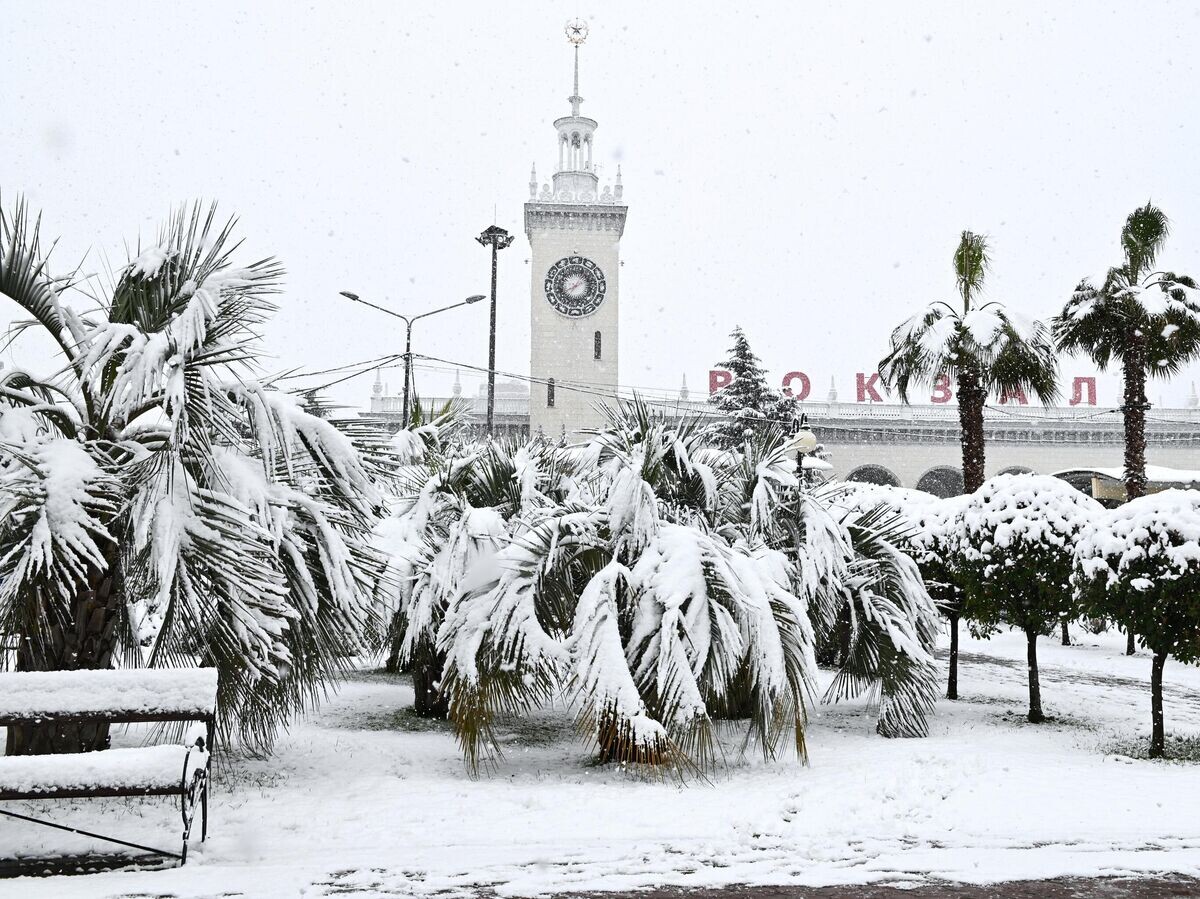    Снег в весеннем Сочи© РИА Новости . Артур Лебедев