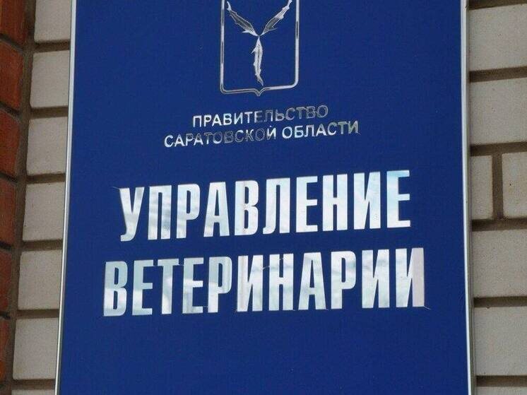     Фото: Управление ветеринарии Саратовской области