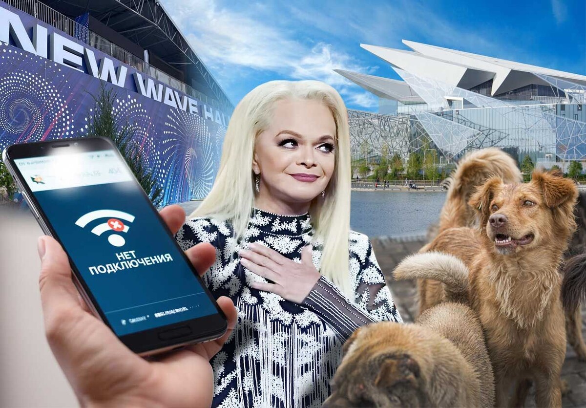 Фото: коллаж Олега Пеплова / «РТ»