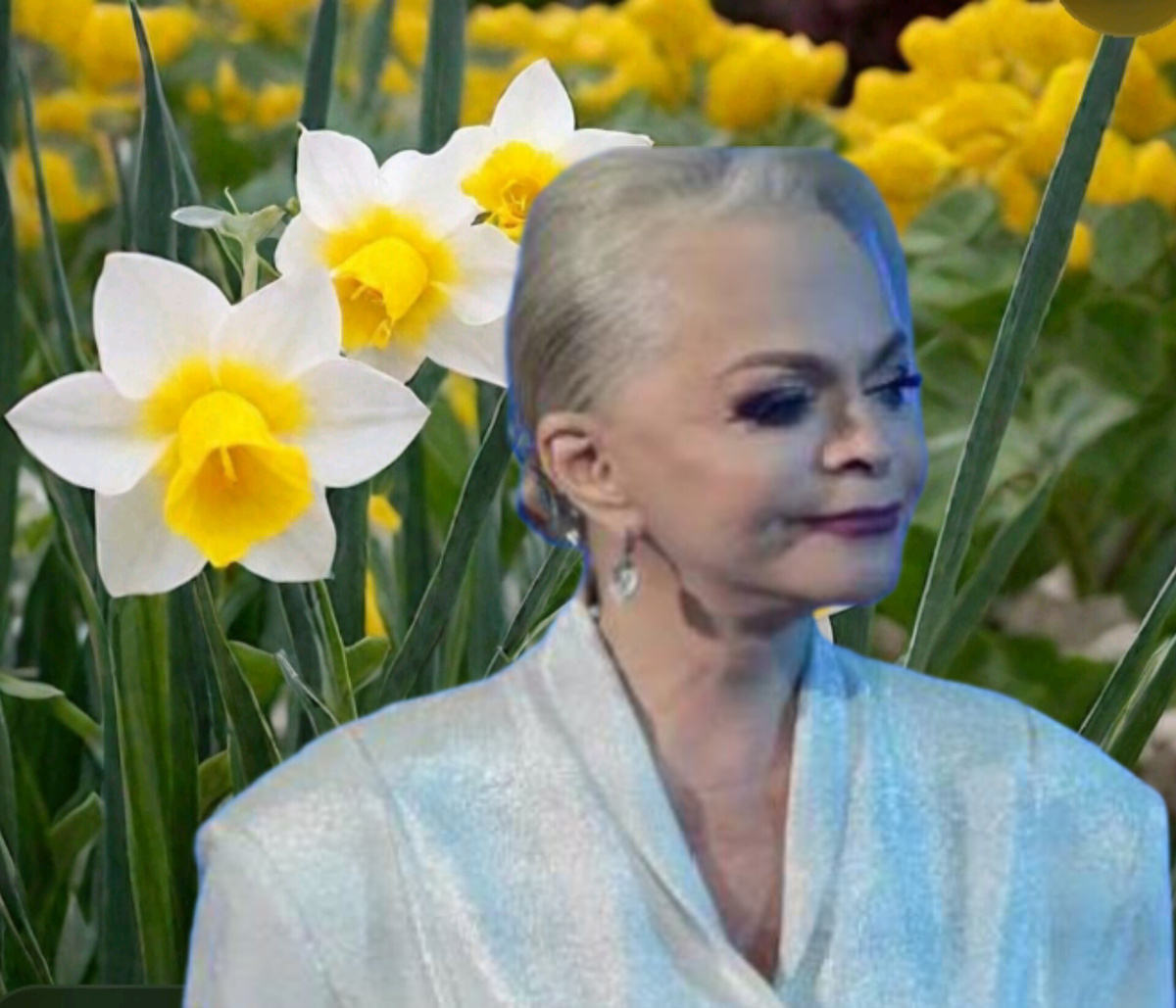 Коллаж автора