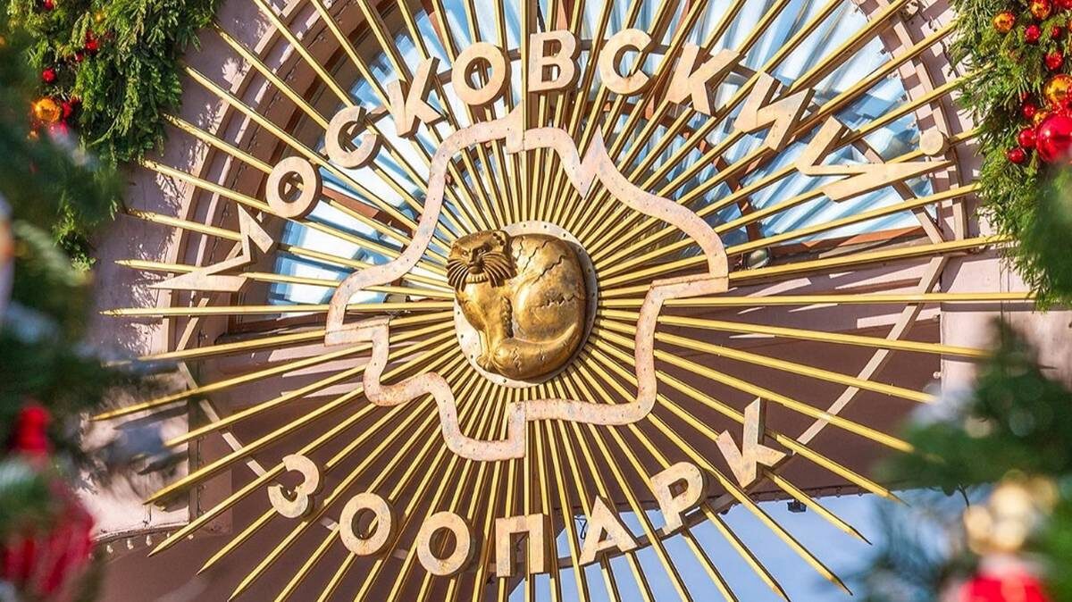    Фото: mos.ru / Официальный сайт мэра Москвы