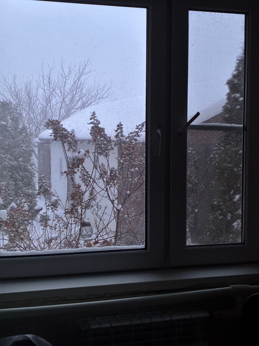 Хорошо в метель быть дома!