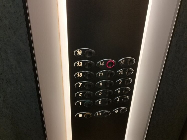     Фото: архив МК в Калининграде.