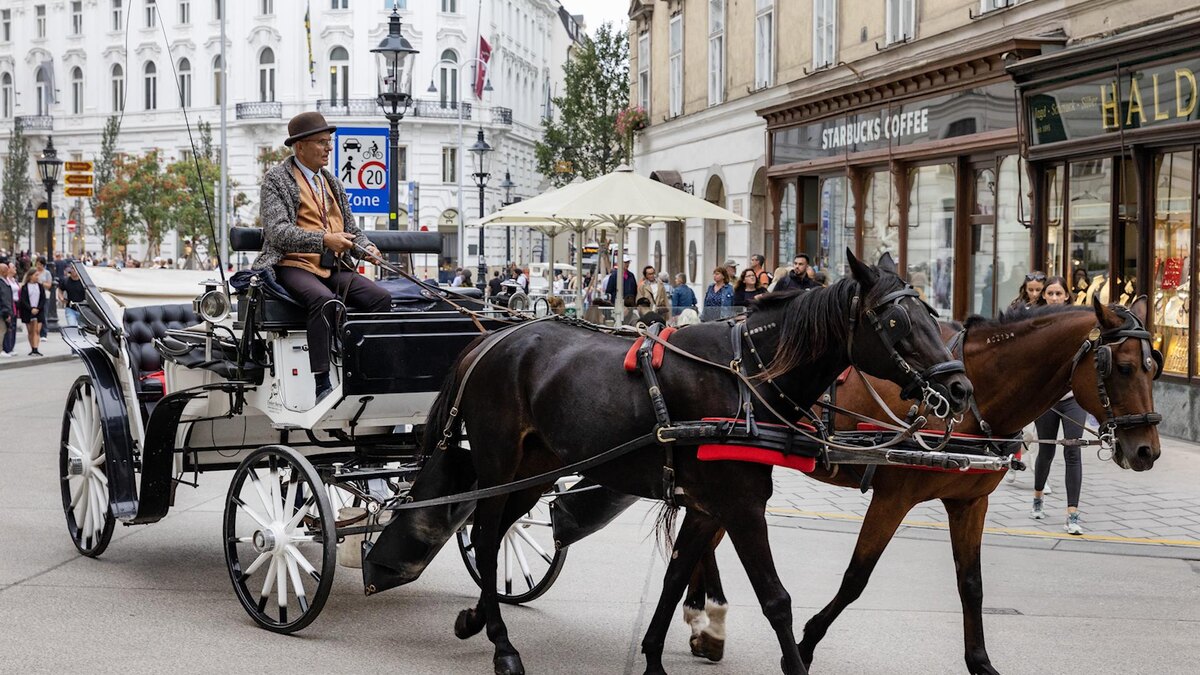    Фото: Aleksey Smyshlyaev/globallookpress.com