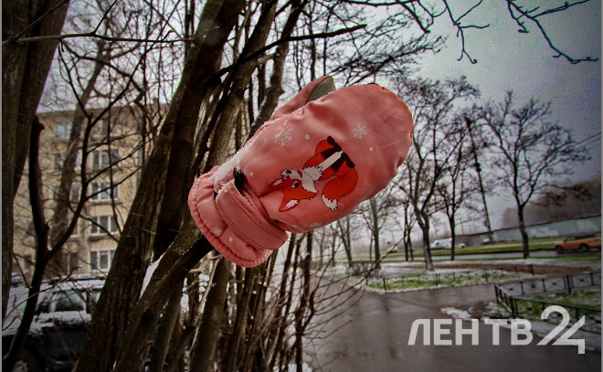    © Анастасия Илюшина / ЛенТВ24, архивное фото