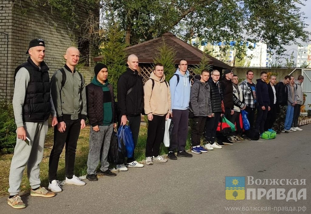     Призыв круглый год и рост цен на водку: лошадь привезёт волжанам знаковые изменения во всех сферах
