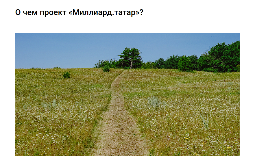 «Бир бишне, дай пять»: каким был 2025 год для редакции «Миллиард.Татар»