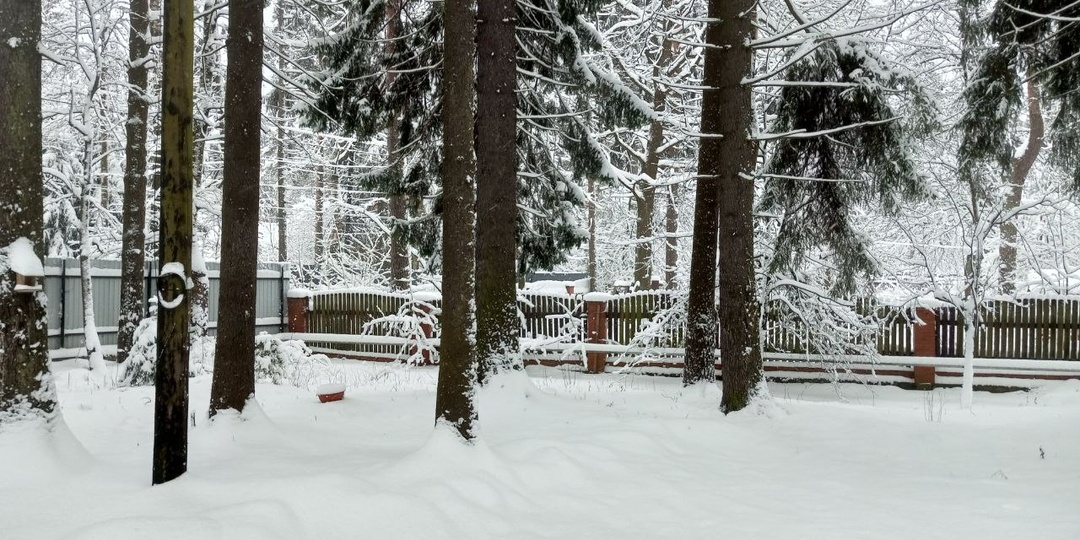 Казнить нельзя помиловать. Или небольшой секрет счастья