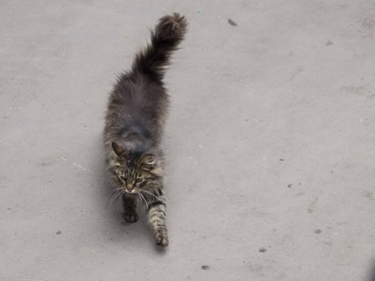    Фото: Общественная служба новостей Алексей Иванов