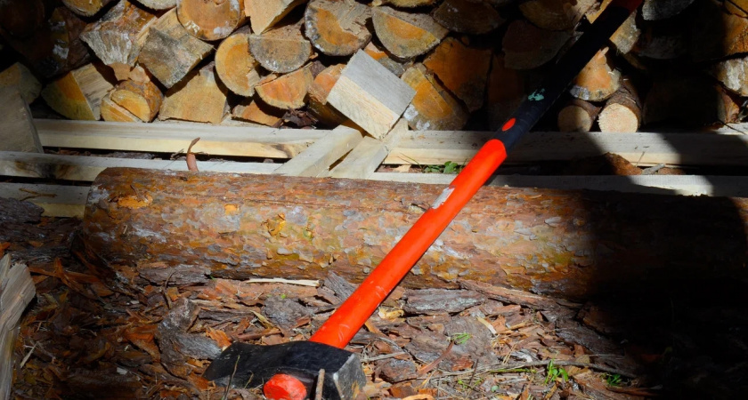    Автор: Вячеслав Вольгин