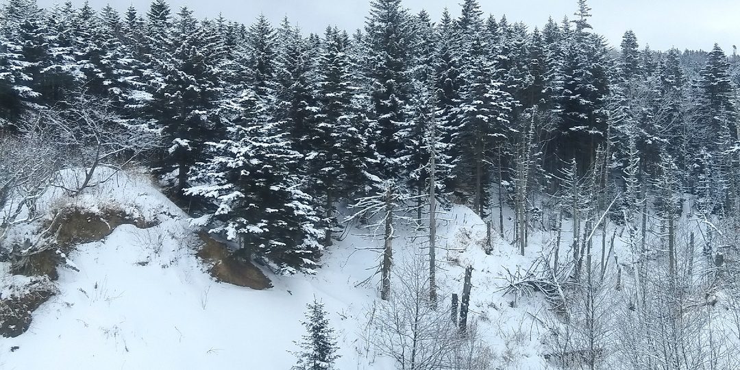 Всё стоит на [Сахалине] до макушек в снегу