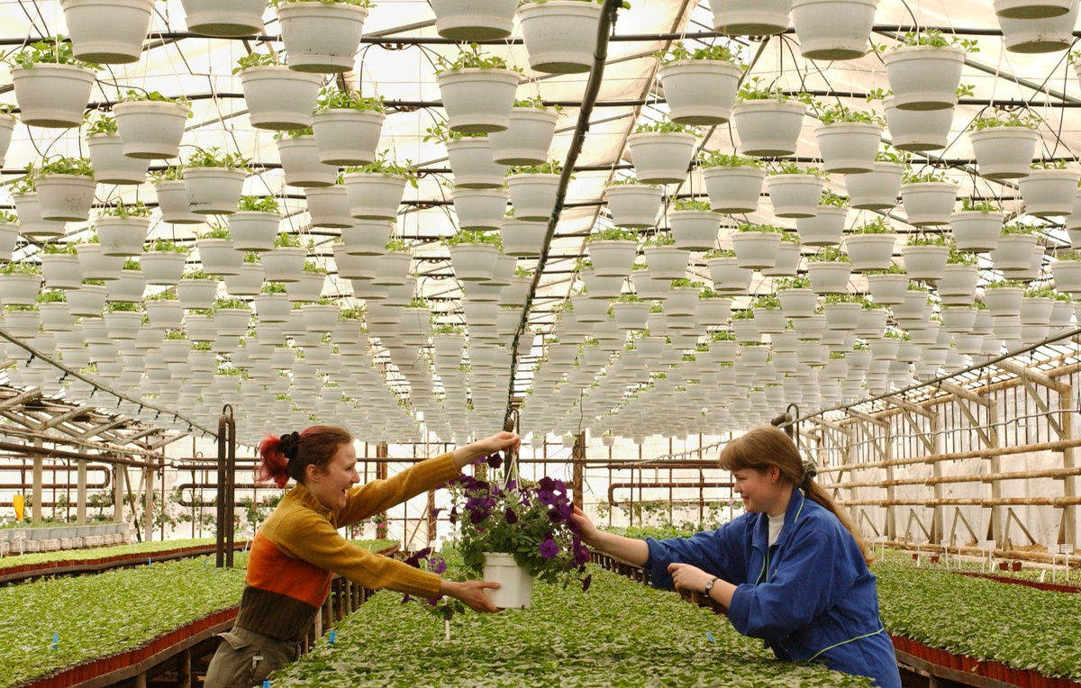 Юрий Машков/ТАСС