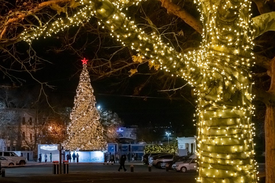    В Севастополе зажгли главную городскую елку. Юлия Блоцкая