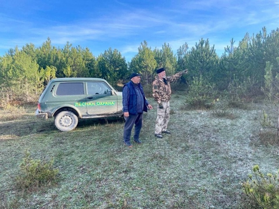    Инспекторы патрулируют территории. Фото: sev.gov.ru