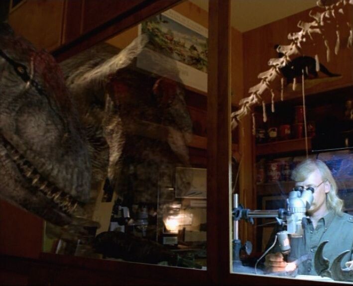 Самые последние исследования 2020-ых показывают, что Ал мог быть самкой. 