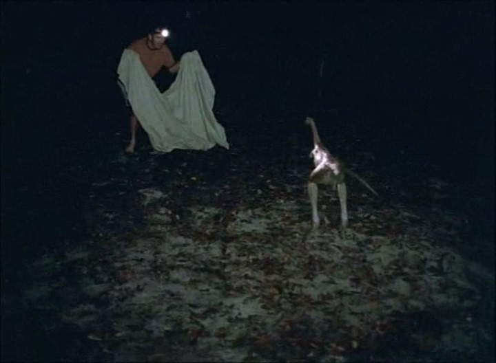 «Поймай курицу» (с) тренер Микки Голдмилл из к/ф «Рокки 2»