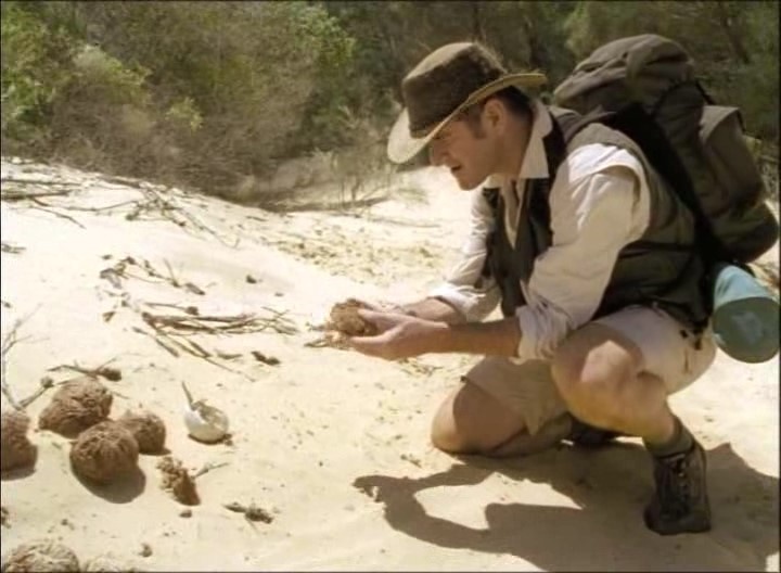 Никакой брезгливости, всё по заветам Беара Гриллса