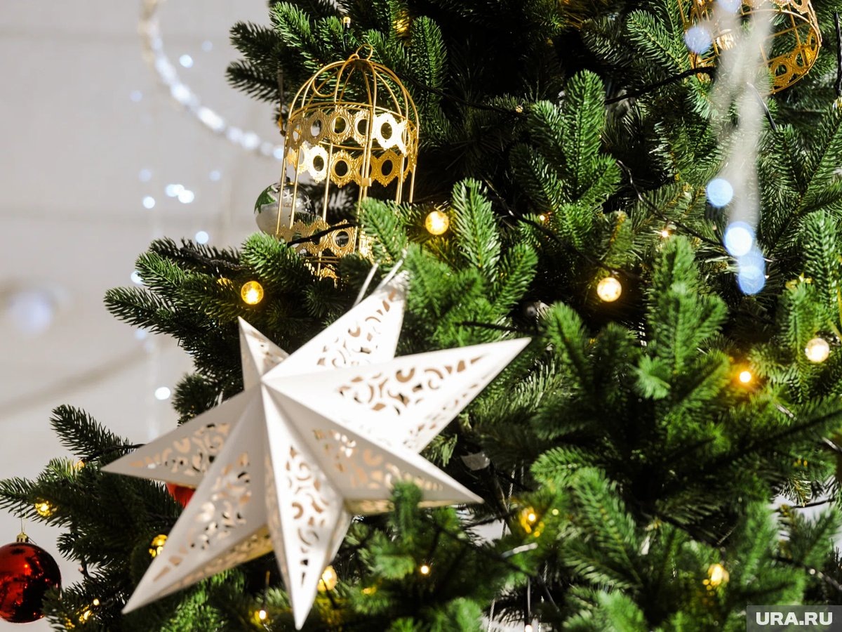     Полиция поздравила жителей Челябинской области с наступающим Новым годом