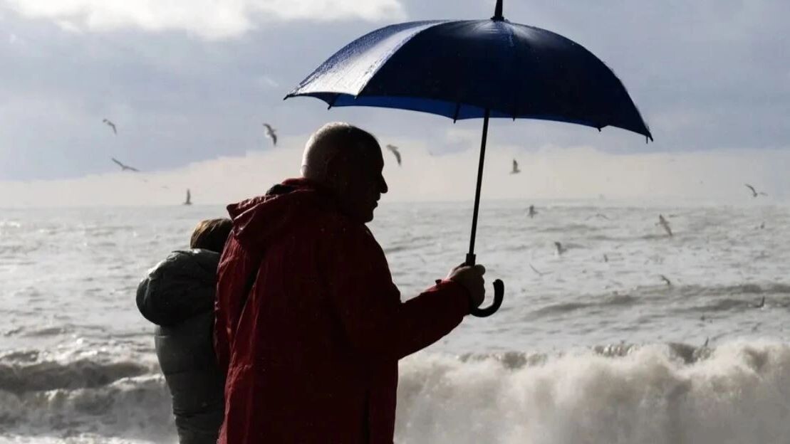    Фото: fortton/Shutterstock/Fotodom