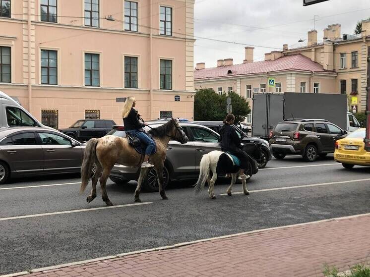     Эта инициатива может повысить туристическую привлекательность города и сделать его более экологичным. Фото: архив МК в Питере