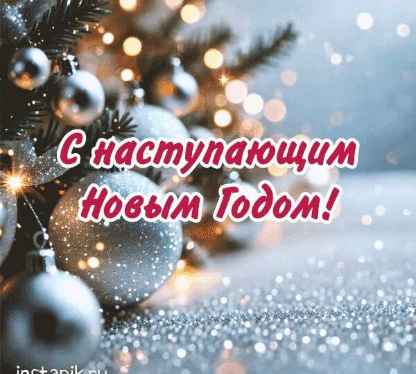 С Новым 2026 годом!