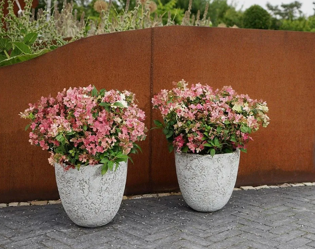 Скриншот с Озона