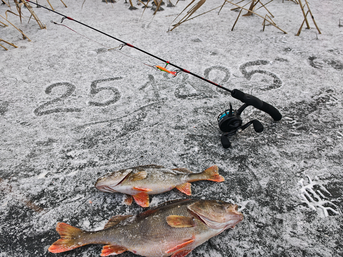 Открытие зимней рыбалки