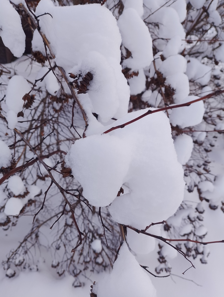 Личное фото.