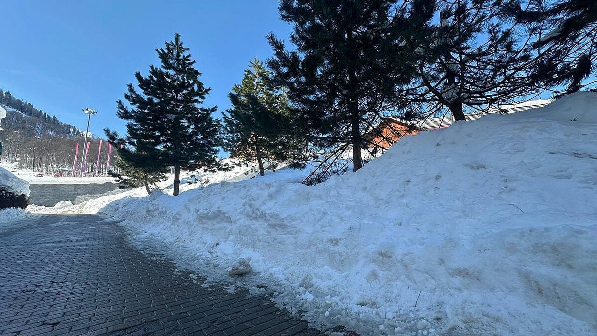    Фото: телеканал «Краснодар»