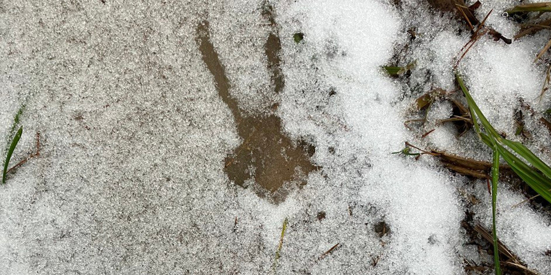 Заповедный дайджест. Декабрь 2025