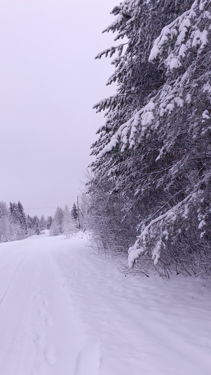 фото автора: центральная дорога в поселке у мамы