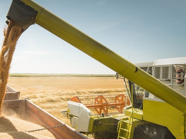    Фото: 123RF.com/fotokostic