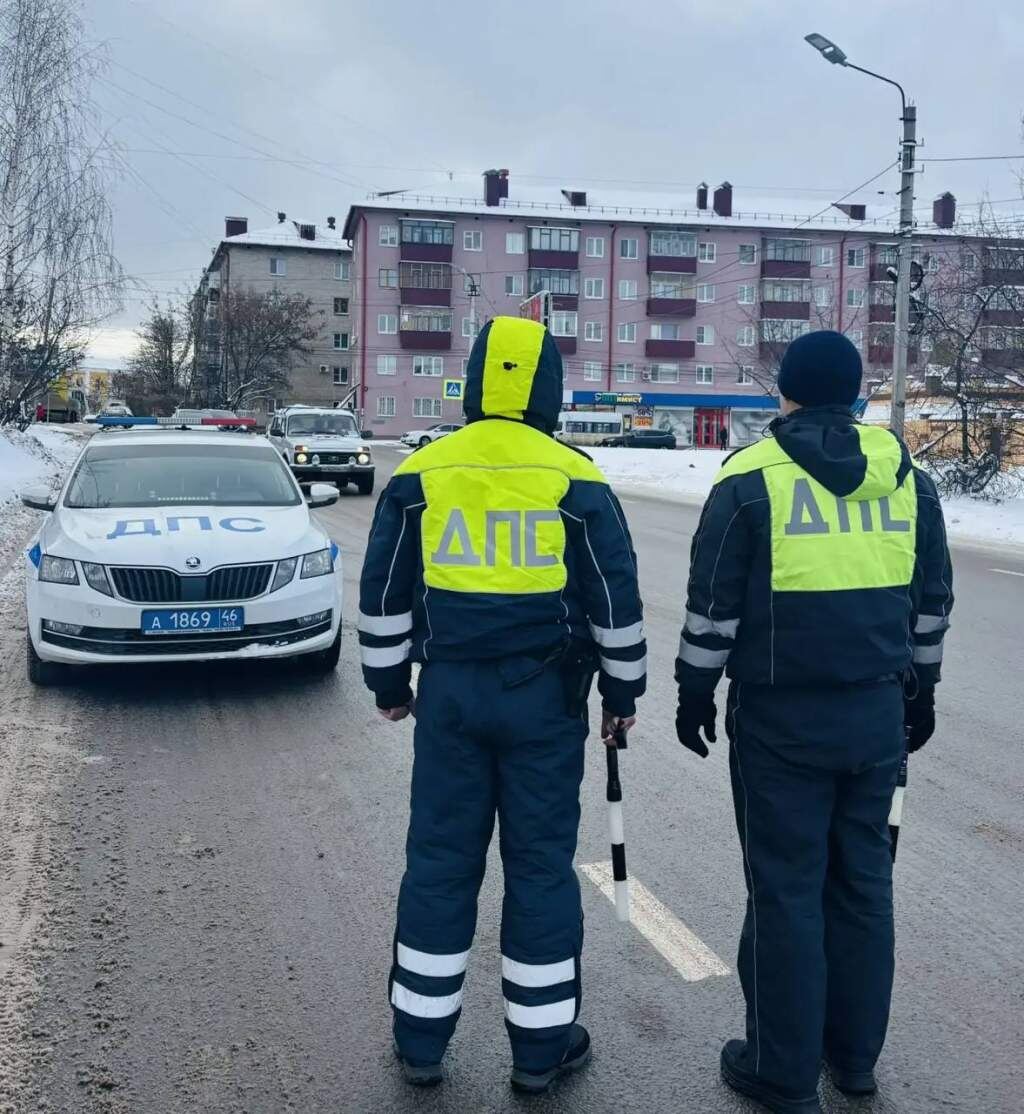    фото: Полиция Курской области