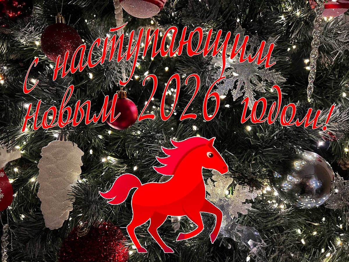 Поздравляю с Новым Годом!!!